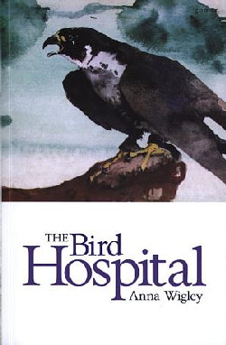 Llun o 'The Bird Hospital' gan Anna Wigley